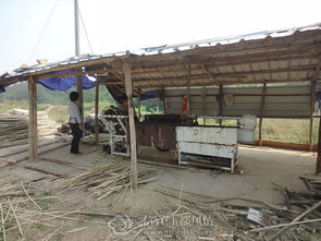 信宜市竹发制品厂 传承与创新并举的竹签、香骨专业制造商